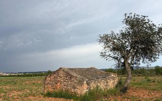 Fondo rustico in N/a. V15075 finca rustica con antigua edificación