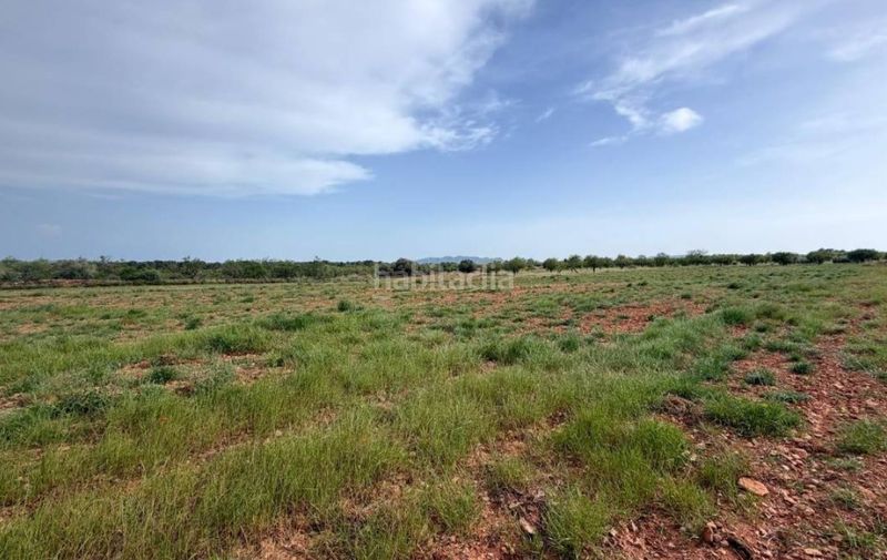 Foto a5d09f00-1342-42c7-ba0c-344d5d8dfba0. Finca rústica a n/a a Benlloc