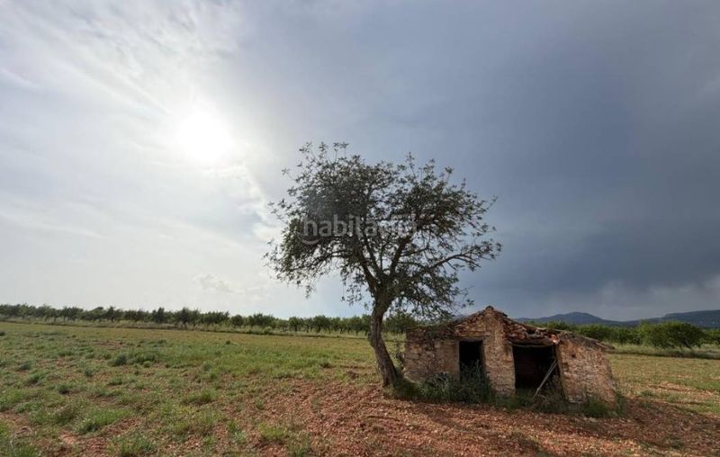 Foto ba81f626-752b-4b0e-a4d6-6d94ef6486e9. Finca rústica a n/a a Benlloc