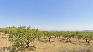 Fondo rustico in N/a. V15072 finca de almendros opción regadío