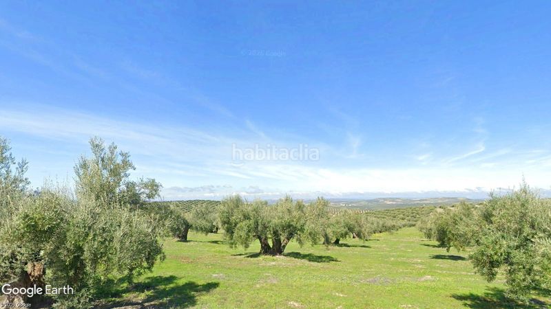 Foto 002a1668-6378-4cf9-a783-e999b3ed8ff7. Finca rústica a n/a a Torredonjimeno