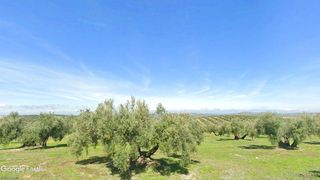 Landgut in N/a. V14927 finca olivar de secano con almacén