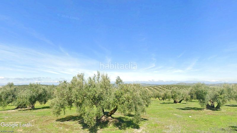 Foto 9c50cbce-f029-4a16-8995-2486eb6cf54c. Finca rústica a n/a a Torredonjimeno