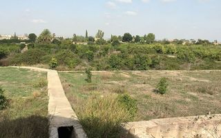 Finca r�stica en Calle sant�simo cristo 9. V14806 finca regadio interesante como inversi�n