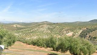 Finca r�stica  N/a. V15089 finca rustica olivar de secano
