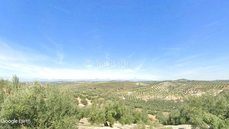 Foto aa255ccb-d78b-4488-9a6d-fa4e2a3675a6. Finca rústica a n/a a Torredonjimeno