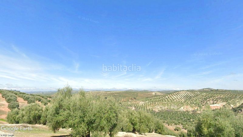 Foto cf8ee3cb-aa44-4f13-baf1-b4e158d4efd8. Finca rústica a n/a a Torredonjimeno