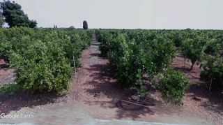 Finca rústica a Avenida Alemania-Italia