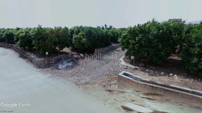 Foto 1d6f563f-a2cc-40fa-86ca-fd347c332a75. Finca rústica a Avenida Alemania-Italia Villarreal / Vila - real