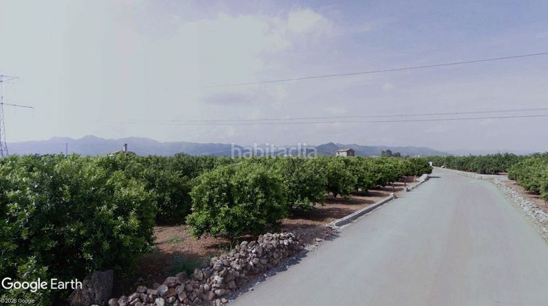 Foto 2d5a4d2f-f26b-4c22-a12b-1fbfd445e4c7. Finca rústica a Avenida Alemania-Italia Villarreal / Vila - real