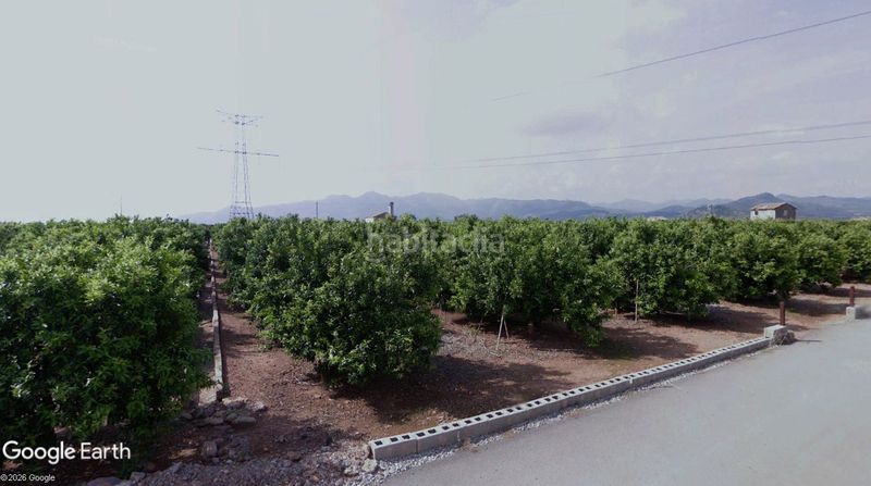 Foto 4717026f-aef4-49da-8c95-4428769ff045. Finca rústica a Avenida Alemania-Italia Villarreal / Vila - real