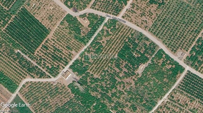 Foto a2f29239-ba70-4f35-a784-8af41ceda8f3. Finca rústica a Avenida Alemania-Italia Villarreal / Vila - real