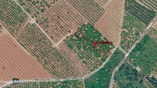Finca rústica a Alqueries (Les) / Alquerías del Niño Perdido
