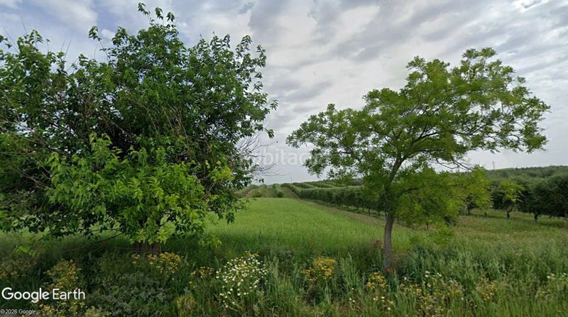 Foto 1b0d3b14-4f0d-4e08-9686-259490a9c351. Finca rústica a Montellano