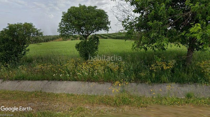 Foto 33b09ea9-2fe6-4b29-b36e-8fed37914d50. Finca rústica a Montellano