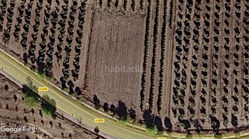 Foto 443beb06-ee4c-4627-af3a-c08c5c2132a3. Finca rústica a Montellano