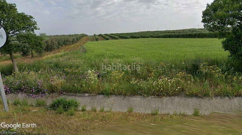 Foto 92766aa2-a5e7-42e9-96c0-f5102e1835a5. Finca rústica a Montellano