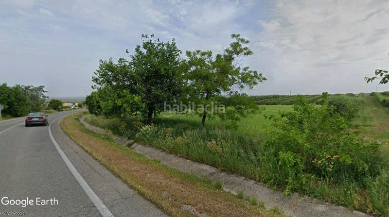 Foto bcce2de8-9d25-4cb1-a0a2-358d59898e52. Finca rústica a Montellano