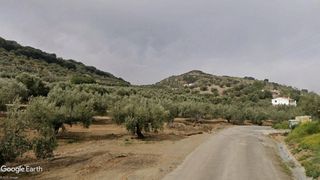 Rural plot in N/a. V15028 lote fincas de olivos opcion almacén de aperos