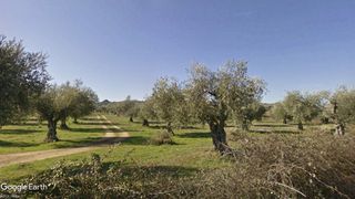 Finca r�stica en N/a. V15178 finca rustica de olivar con almac�n