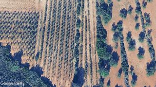 Rural plot in Llombai. Terreno agrícola con posibilidad de riego