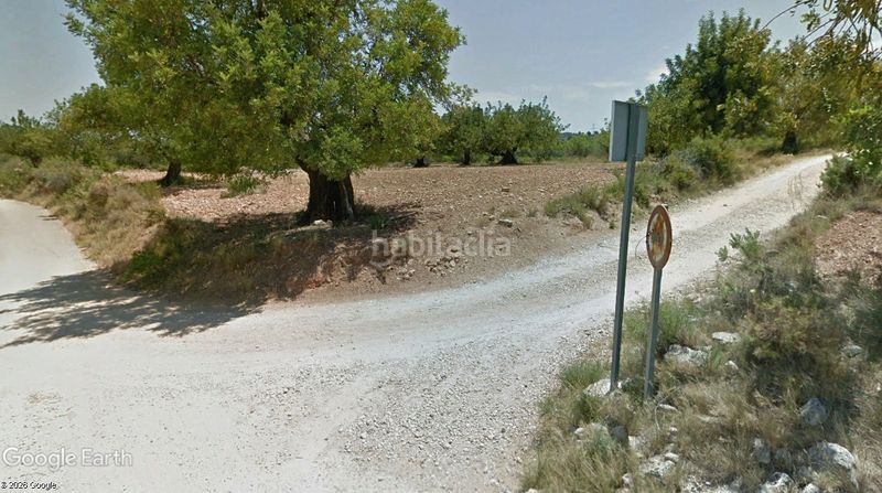 Foto c1d3a631-846e-45a1-ab87-02aa92126ead. Finca rústica a Llombai