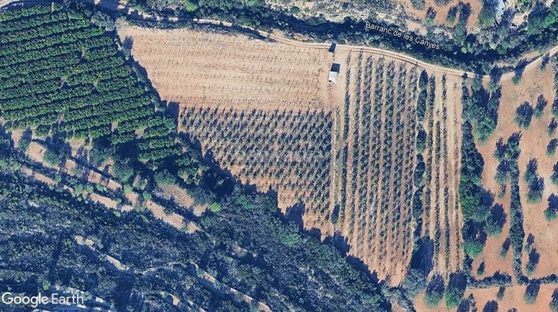 Foto c75ba68a-f978-4e3c-a7b5-9ed26a4e65a7. Finca rústica a Llombai