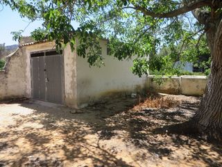 Fondo rustico in Partida del puig gros 20. V15206 finca regadío con almacén opción vivienda
