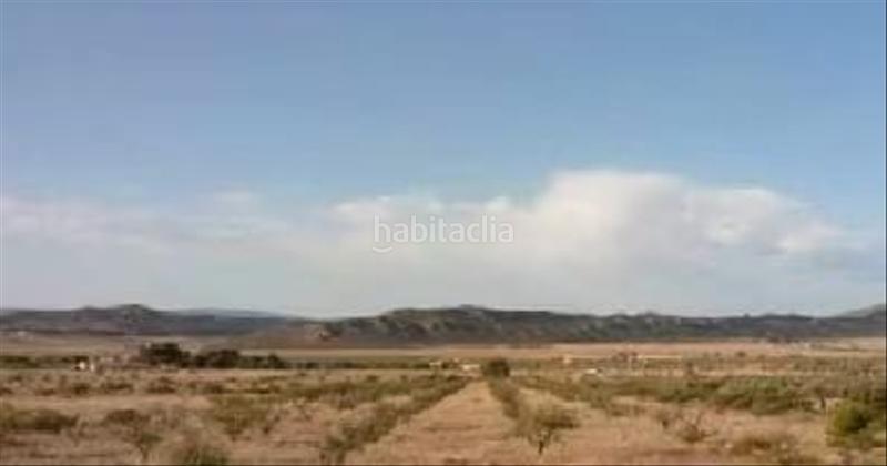 Foto 74da6489-6973-4b40-85cf-8aaf5d0315cb. Landgut in Caudete