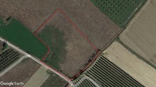 Finca rústica a Calahorra. Parcela regadío para huerta, ganadería, etc