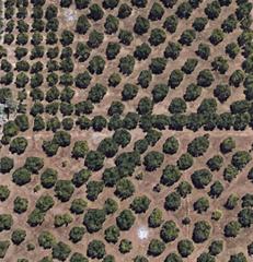 Propriété à Sueca. Oportunidad parcela para recreo
