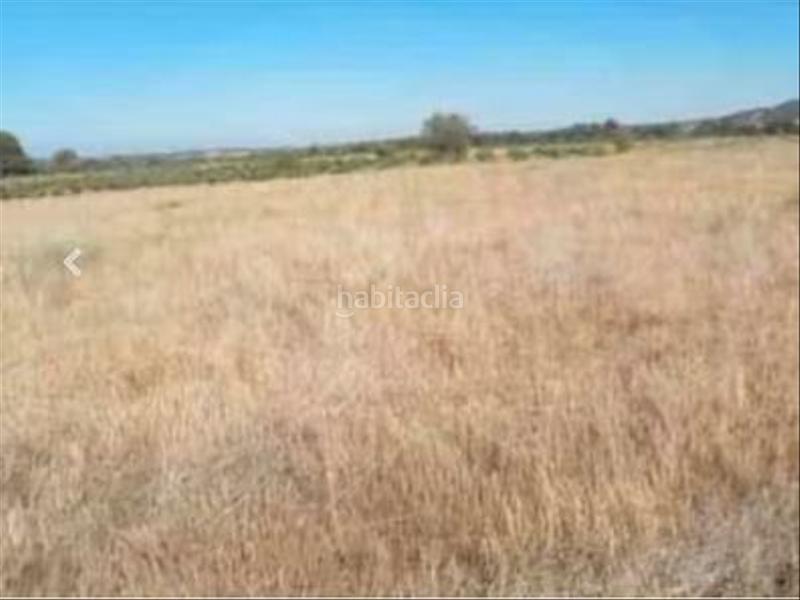 Foto 1a8424de-8e10-4a0b-bf5c-151400ec686e. Rural plot in Talayuelas