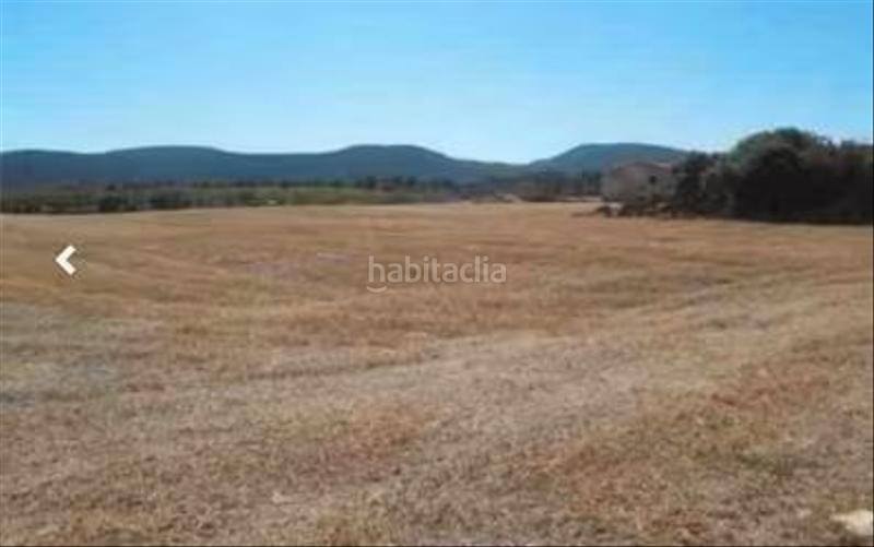 Foto b39ff904-e9ed-47ad-8ffb-c8aa8887c4a5. Rural plot in Talayuelas