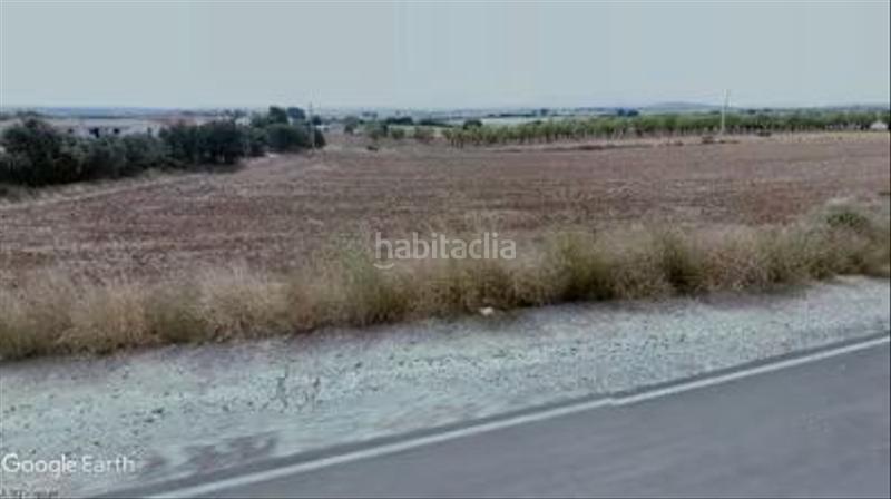 Foto fe70a456-ffb2-4fd9-bb41-0ca1d6a96328. Rural plot in Talayuelas