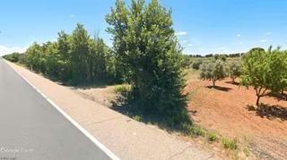 Finca rústica a Provencio (El). Finca para recreo opción caseta de aperos