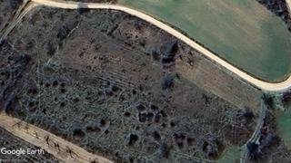 Finca rústica a Covarrubias. Parcela de labor con manzanos abandonados