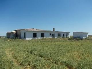 Finca rústica en Alcázar de San Juan. Finca con explotación ganadera- vivienda