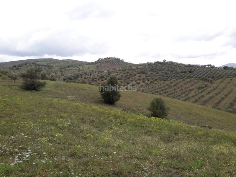 Foto d35844da-eaed-48fd-a3ed-d8470e91cba9. Fondo rustico in Cútar