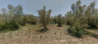 Finca rústica a Ulldecona. Oportunidad parcela agrícola.