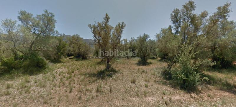 Foto 595d4da0-259a-4077-a77c-2cad27a35412. Propriété dans Ulldecona