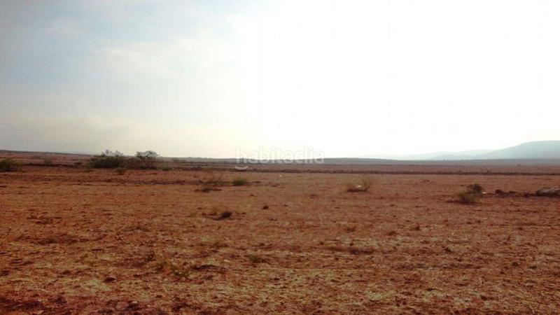 Foto dfd83075-4024-4b34-bea6-7041cb2cc7f5. Fondo rustico in Las Negras Níjar