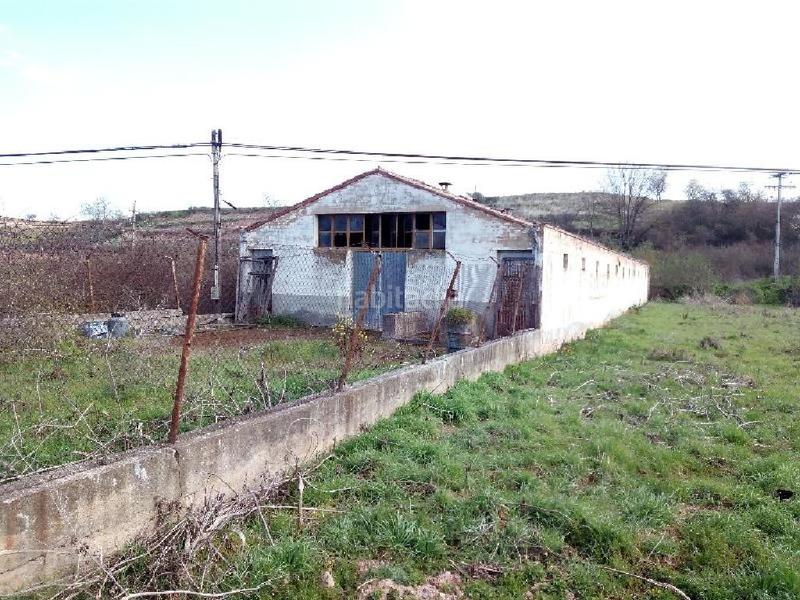 Foto 708eab6a-3103-4f70-b809-2599ab758721. Fondo rustico in Arenzana de Abajo