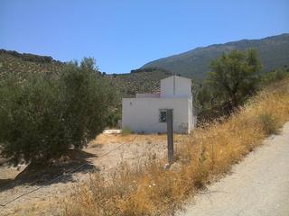 Finca rústica a San Ildefonso - Catedral. Parcela con vivienda y olivos