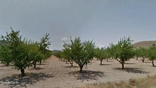 Propriété à El Carril - Paseo de Chapi. Almendros, opcion vivienda de campo
