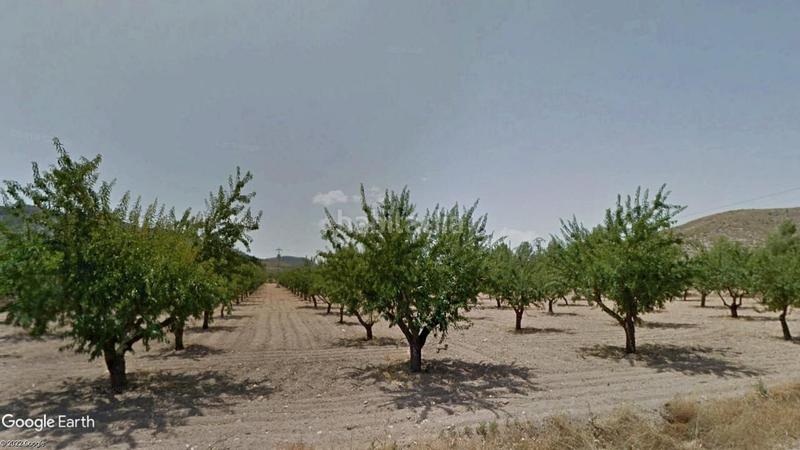 Foto 3663d201-bb48-4e8d-99d2-d7b58ede4001. Propriété dans El Carril - Paseo de Chapi Villena