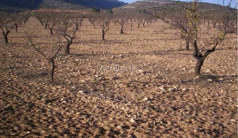 Foto da548377-1c2f-4e65-b08c-36d4b6e486d9. Propriété dans El Carril - Paseo de Chapi Villena