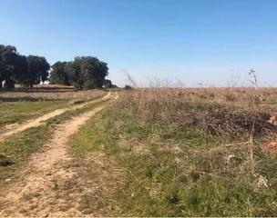 Finca rústica a Villanueva de Campeán. Viñedo, fácil acceso