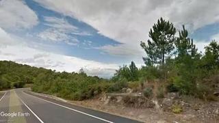 Finca rústica a Ramirás. Pinar maderable en ramiras