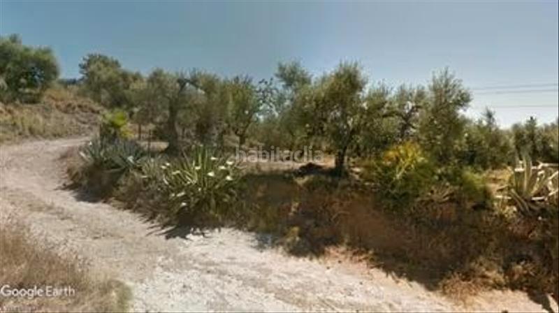 Foto 17d1140b-c63e-4235-b901-2a25fec9d2db. Fondo rustico in Centre Reus