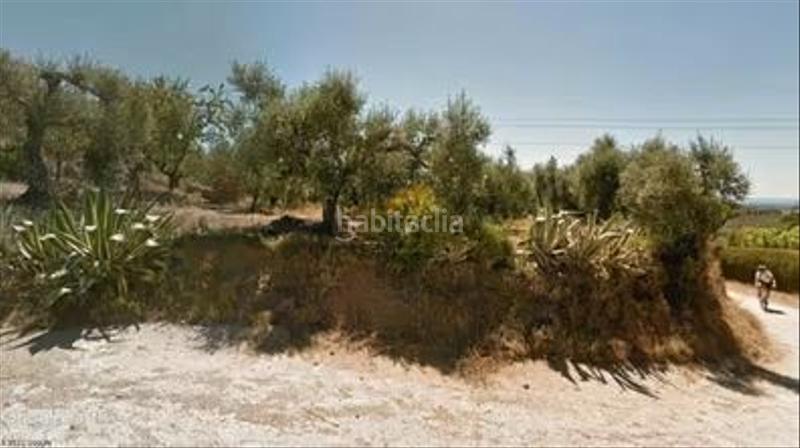 Foto 703a7aee-6939-45ce-bd5f-cb7c471575ad. Fondo rustico in Centre Reus